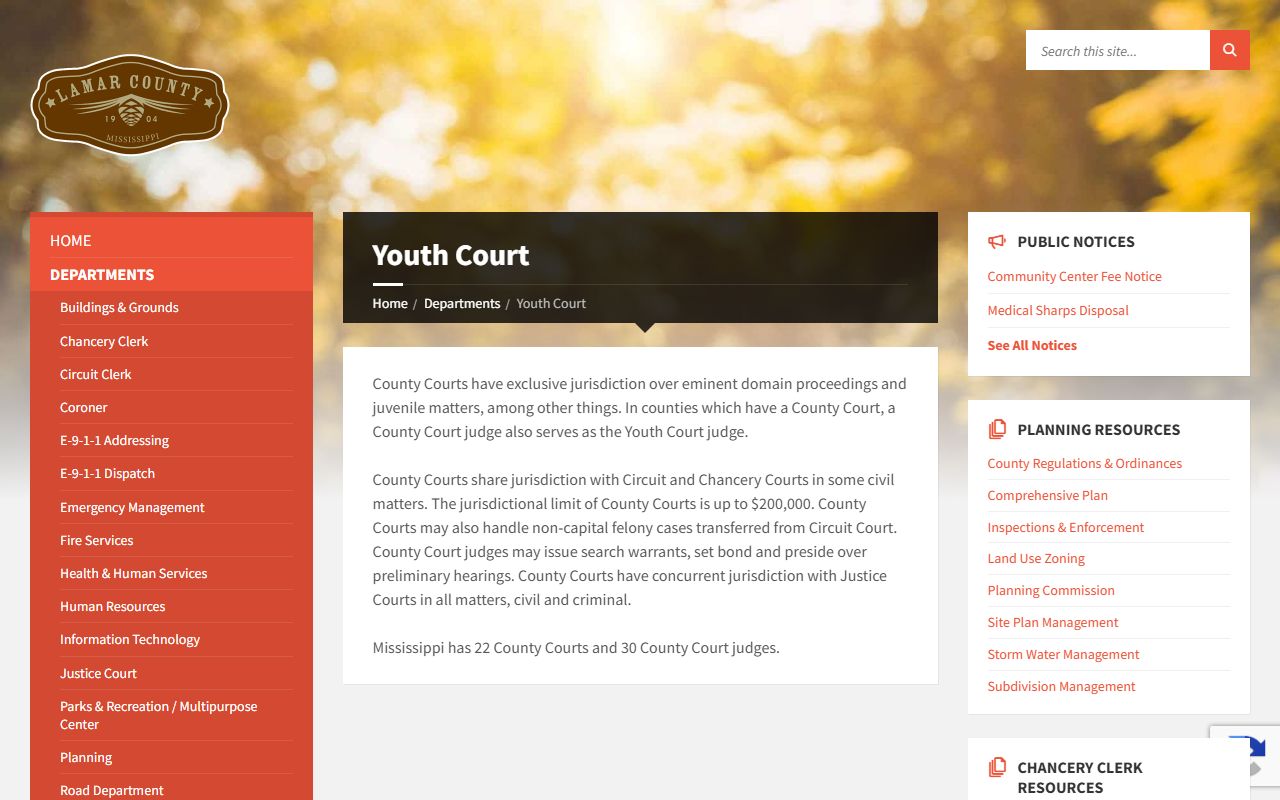 Lamar County County Court and Youth Court page describing restricted court records