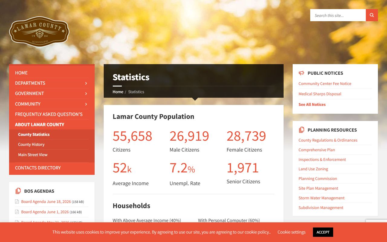 Lamar County statistics page supporting court records context