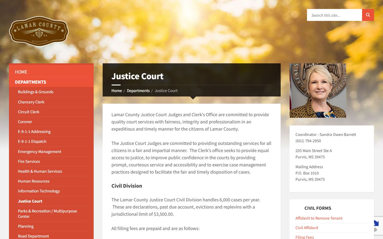 Lamar County Justice Court page listing traffic citation and misdemeanor functions